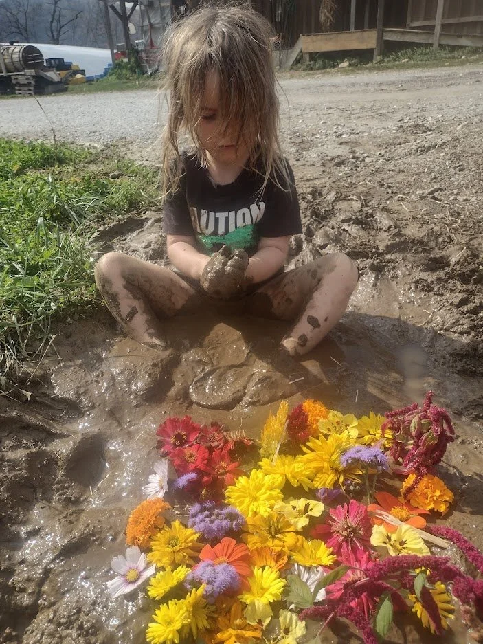 2nd Week of the Fall CSA: Week of October 27th 