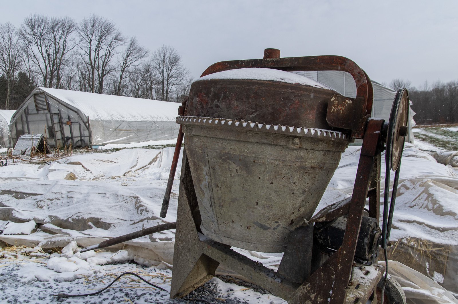8th Week of the Fall CSA: Week of December 8th