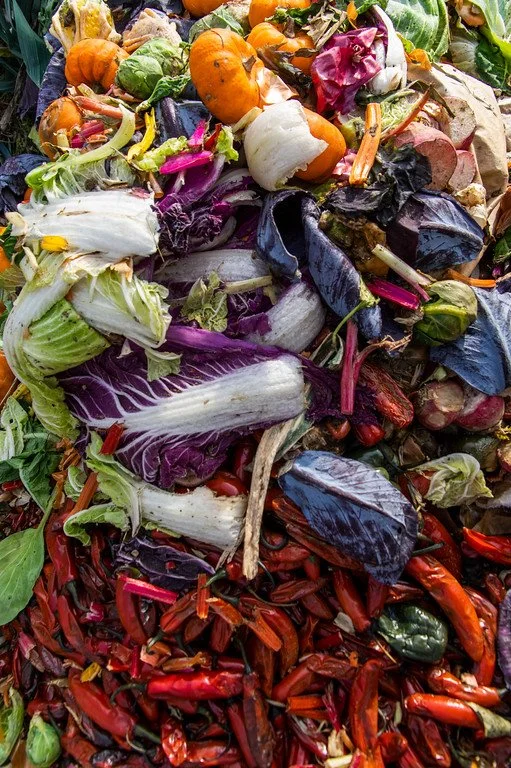 10th Week of the Fall CSA: Week of December 22nd