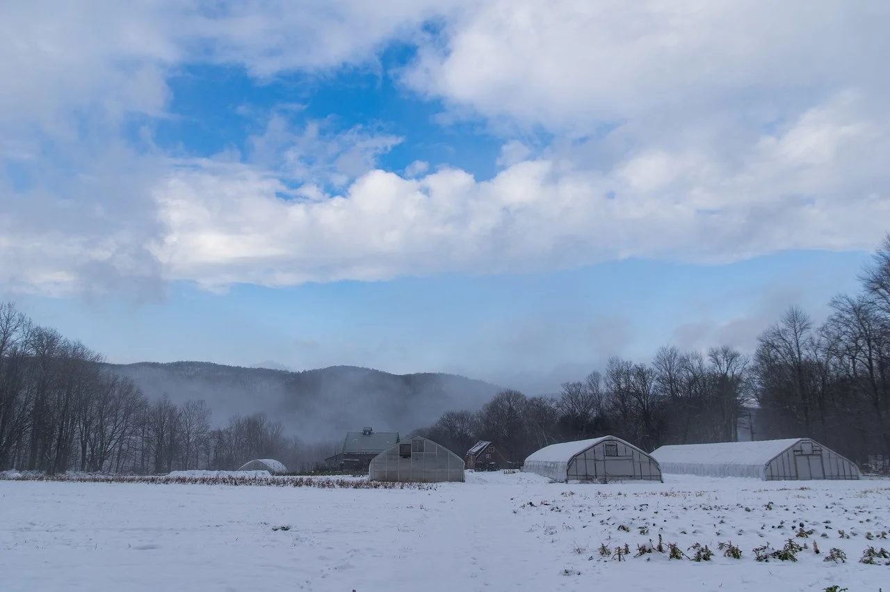11th Week of the Fall CSA: Week of December 29th
