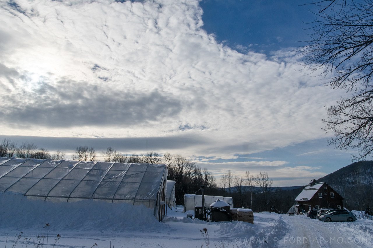 1st Week of the Winter/Spring CSA season: Week of February 16th