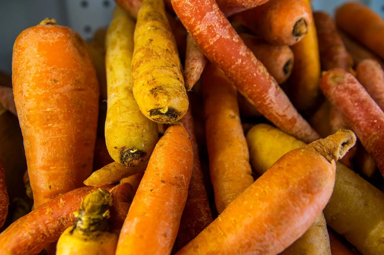 4th Week of the Winter/Spring CSA season: Week of March 9th