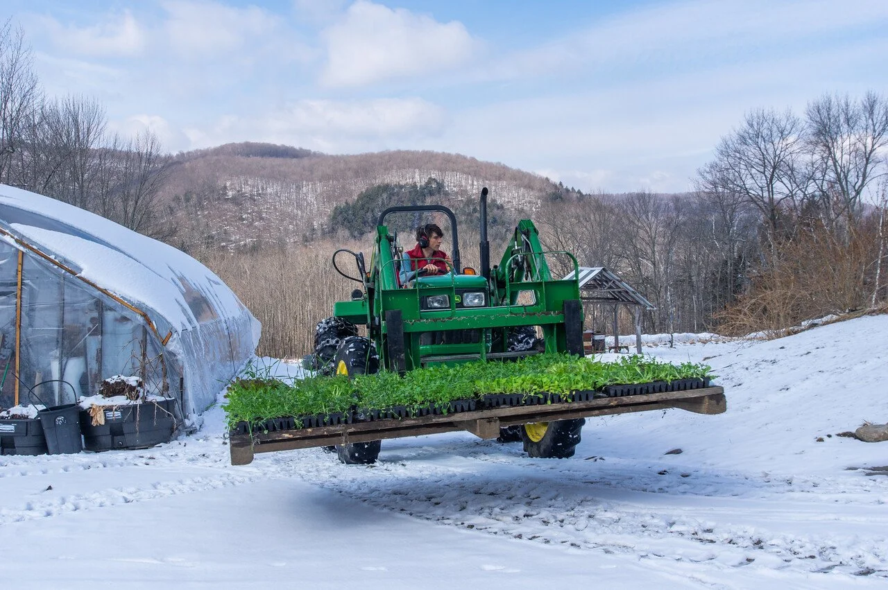 5th Week of the Winter/Spring CSA season: Week of March 16th 