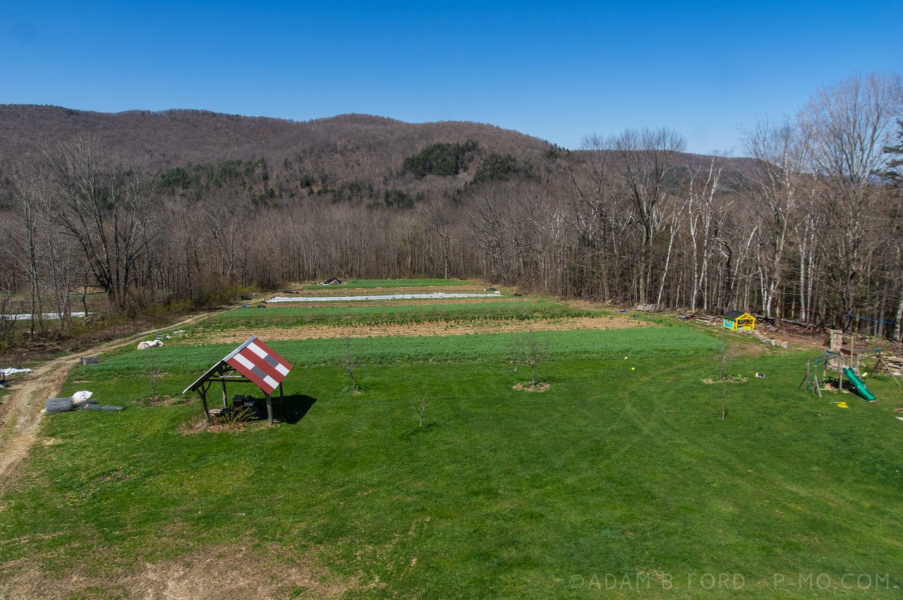 14th Week of the Winter/Spring CSA season: Week of May 18th