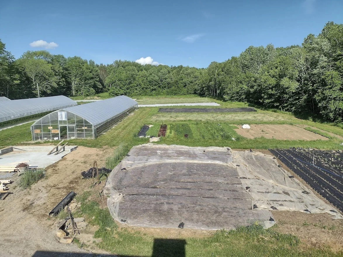 2nd Week of the Summer CSA season: Week of June 14th 