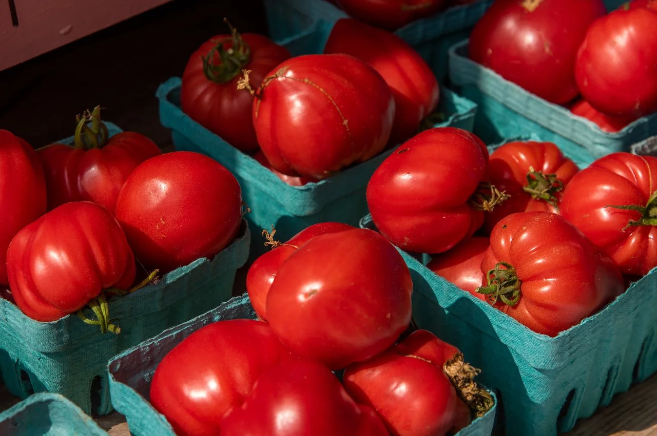 7th Week of the Summer CSA season: Week of July 19th