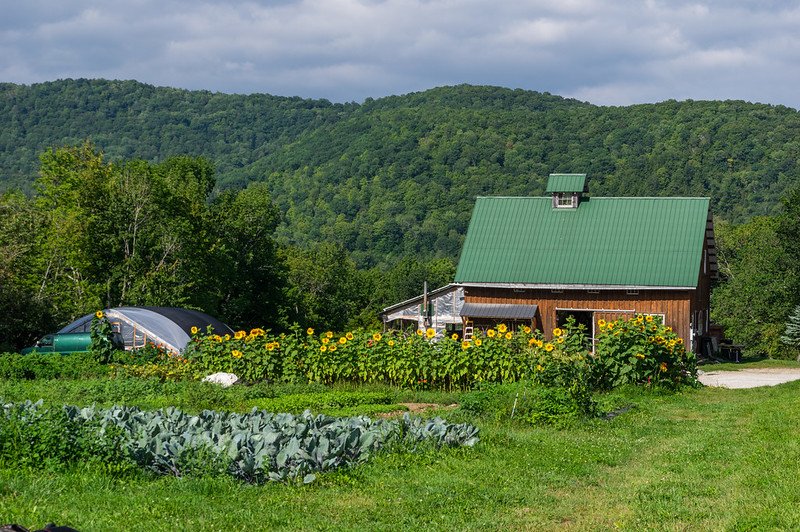 14th Week of the Summer CSA season: Week of September 6th