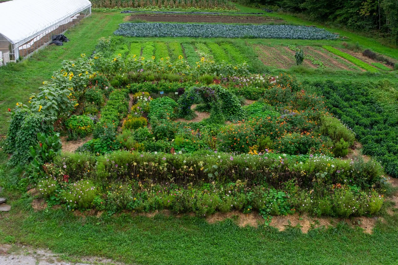 16th Week of the Summer CSA season: Week of September 20th