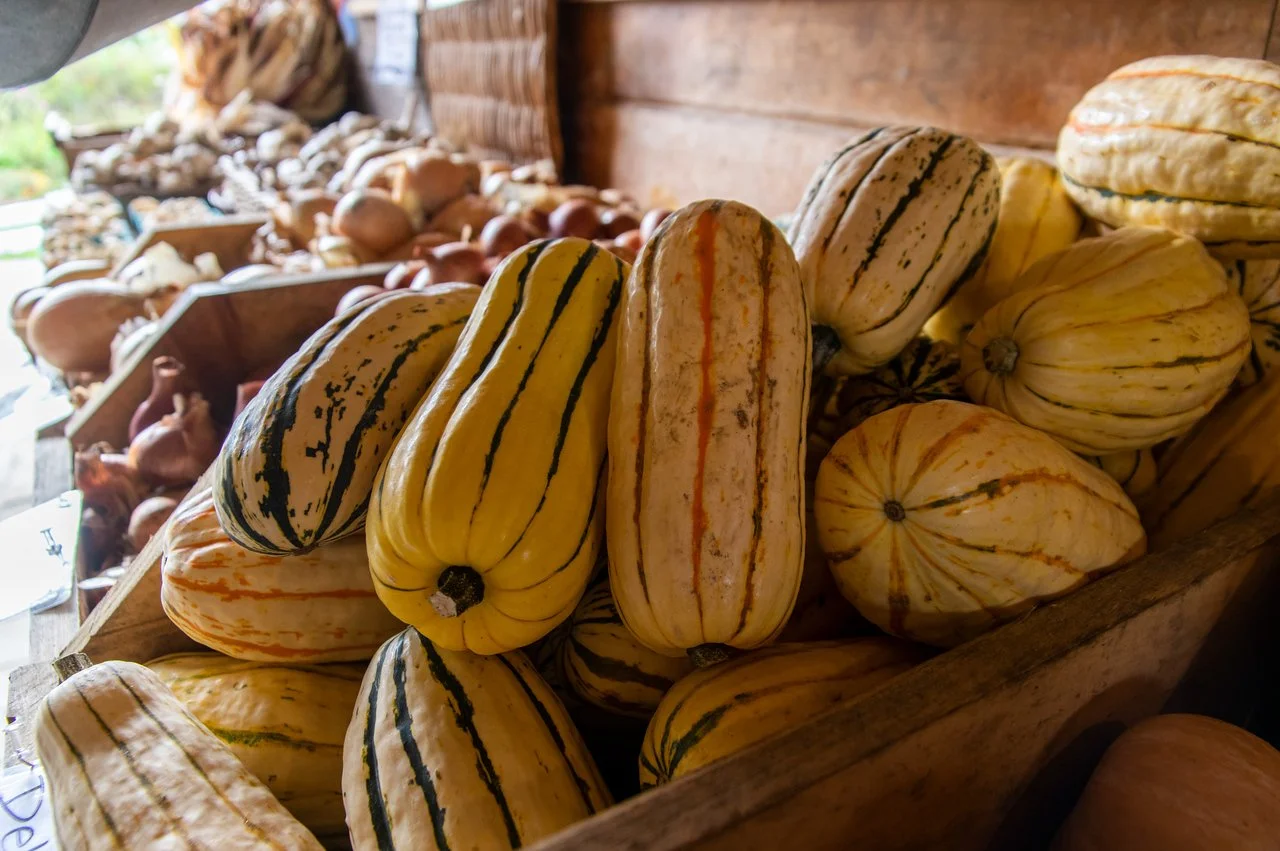 18th Week of the Summer CSA season: Week of October 4th