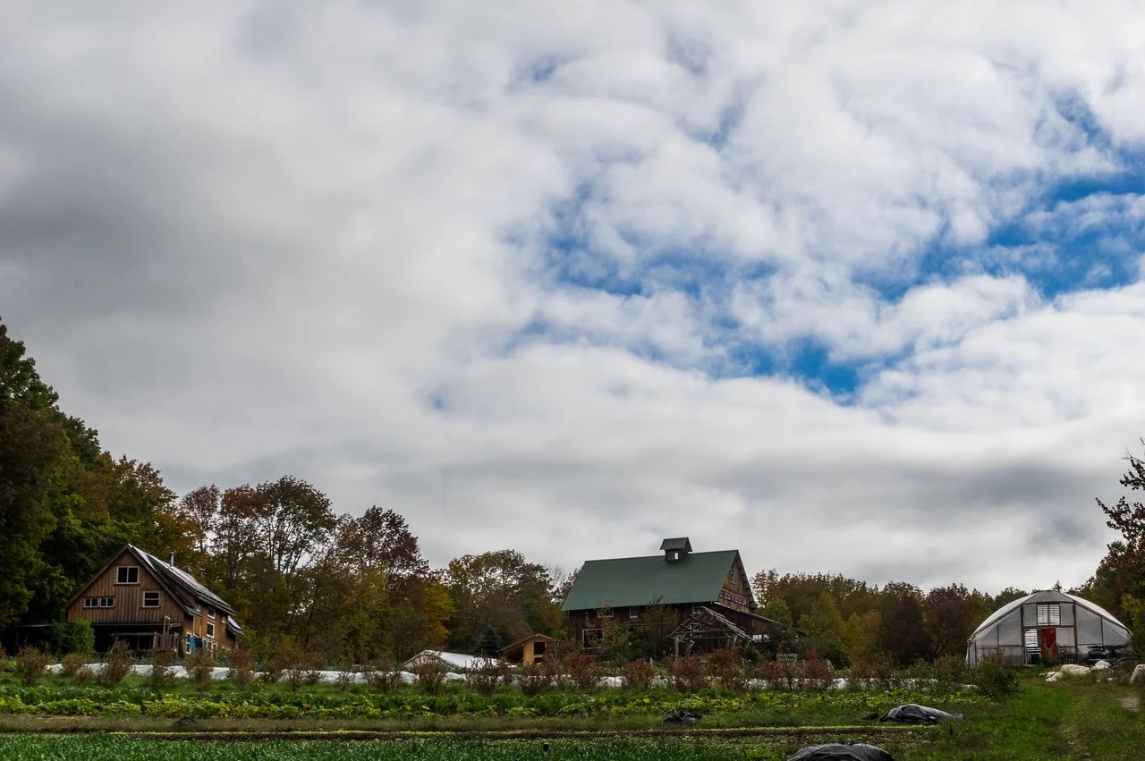 19th Week of the Summer CSA season: Week of October 11th