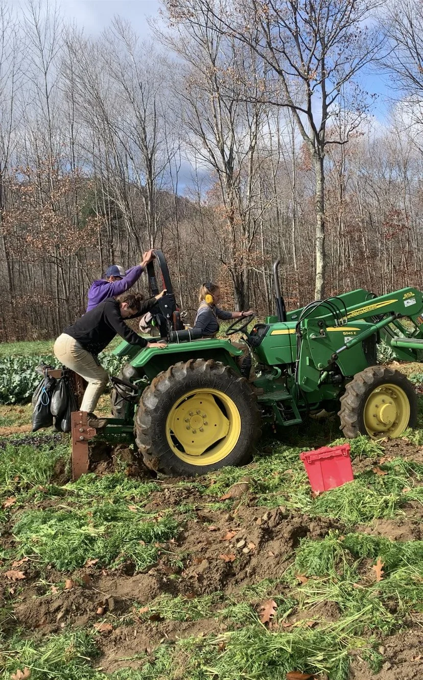 3rd Week of the Fall CSA season: Week of November 9th