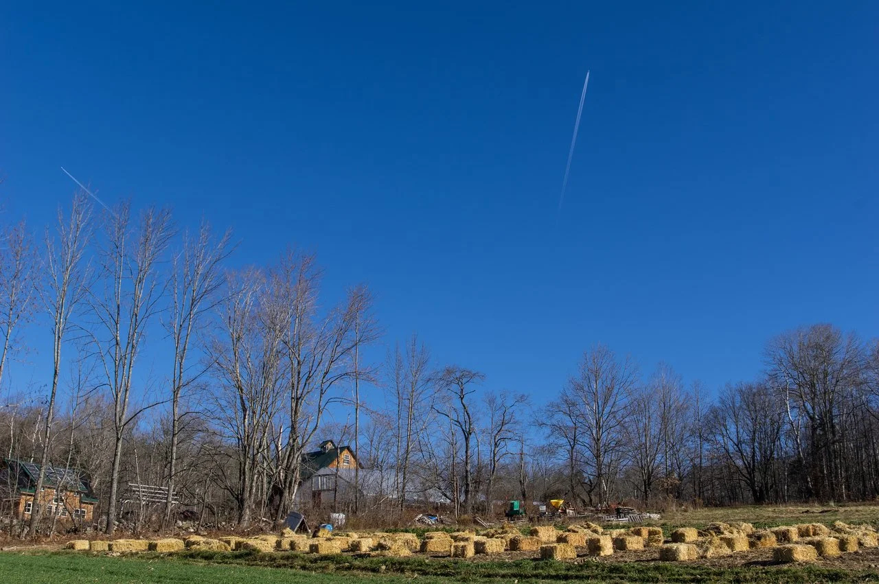 5th Week of the Fall CSA season: Week of November 23rd