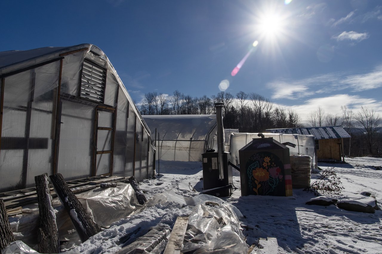 9th Week of the Fall CSA season: Week of December 21st