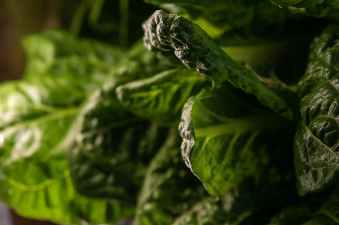 11th Week of the Fall CSA season: Week of January 4th