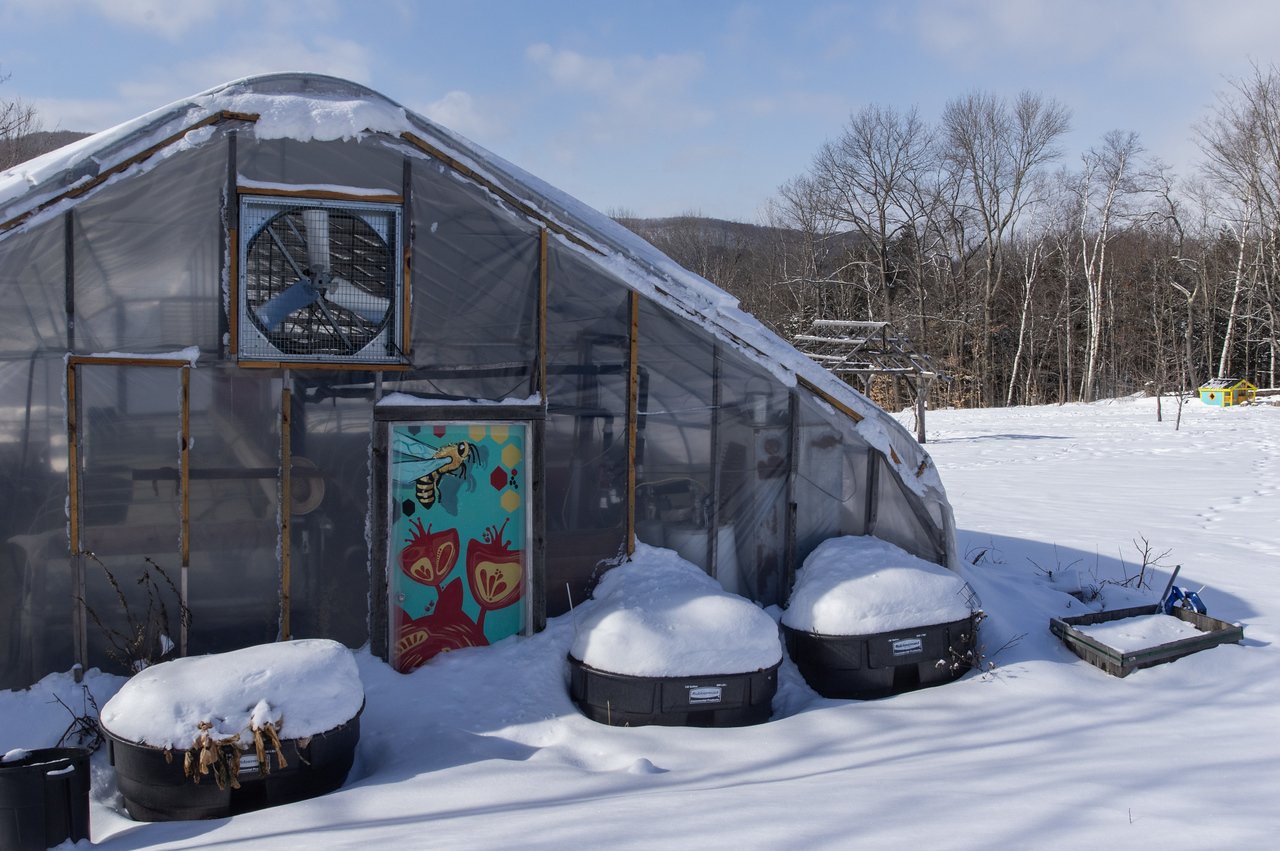 1st Week of the Spring CSA season: Week of March 1st