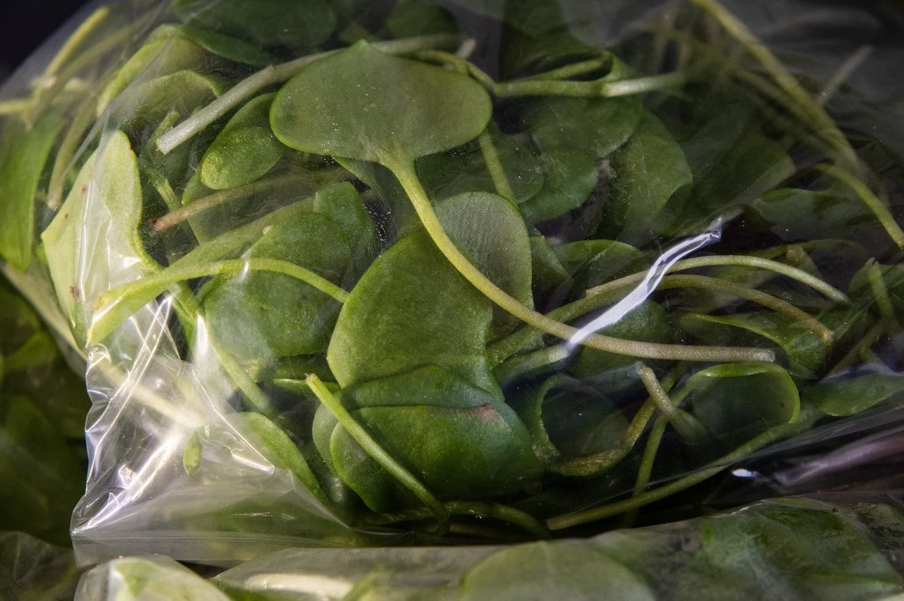 2nd Week of the Spring CSA season: Week of March 8th 