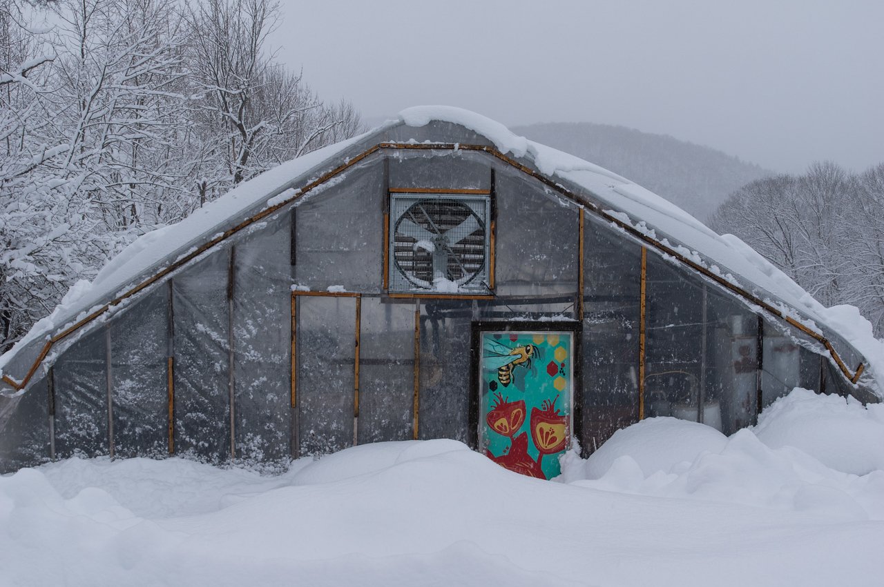 4th Week of the Spring CSA season: Week of March 22nd