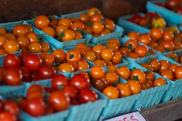 12th Week of the Summer CSA season: Week of August 22nd