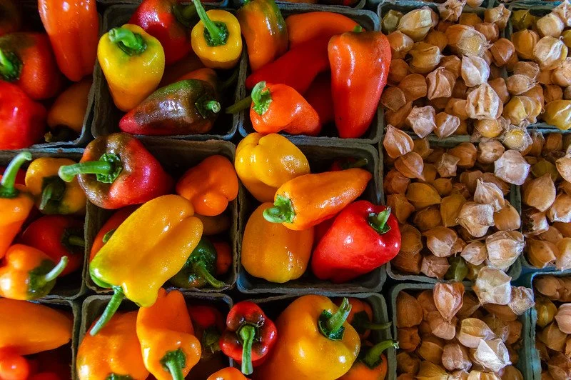 15th Week of the Summer CSA season: Week of September 12th 