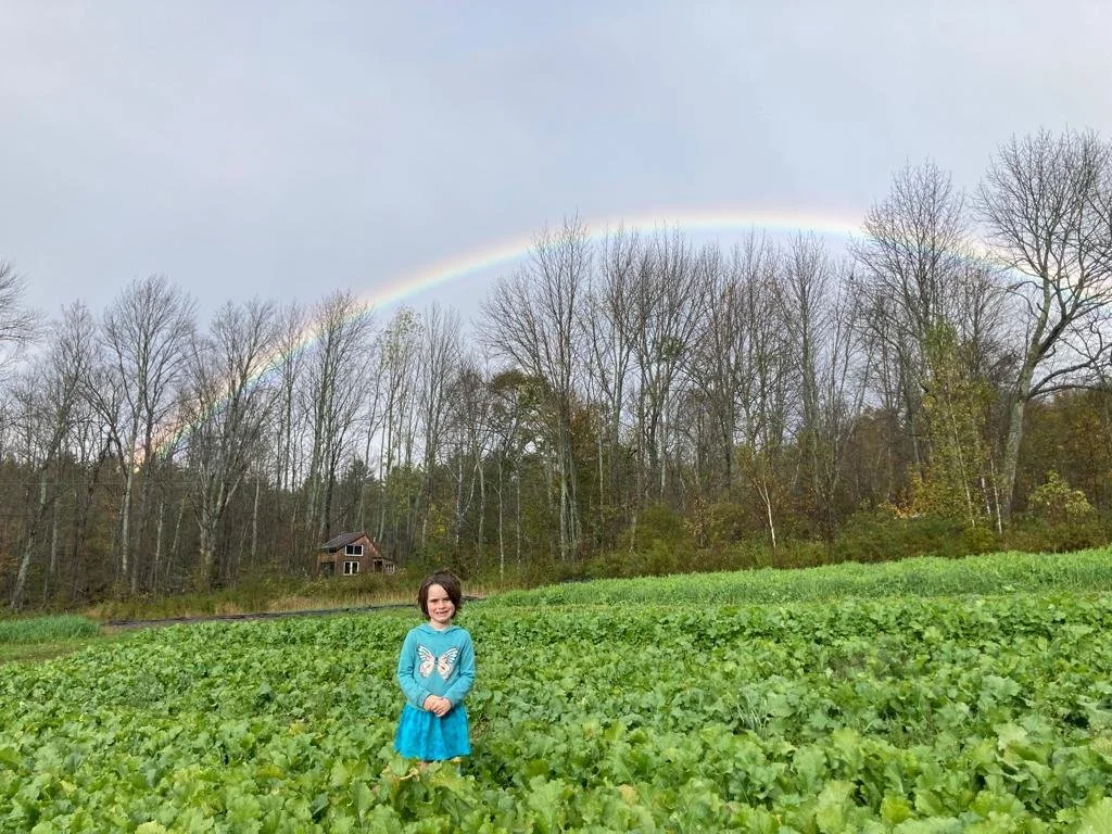 (20th) LAST WEEK of the Summer CSA season: Week of October 17th 
