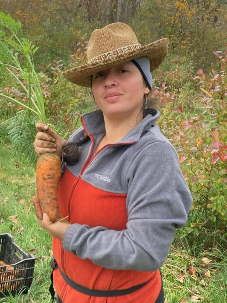 1st Week of the Fall CSA season: Week of October 25th