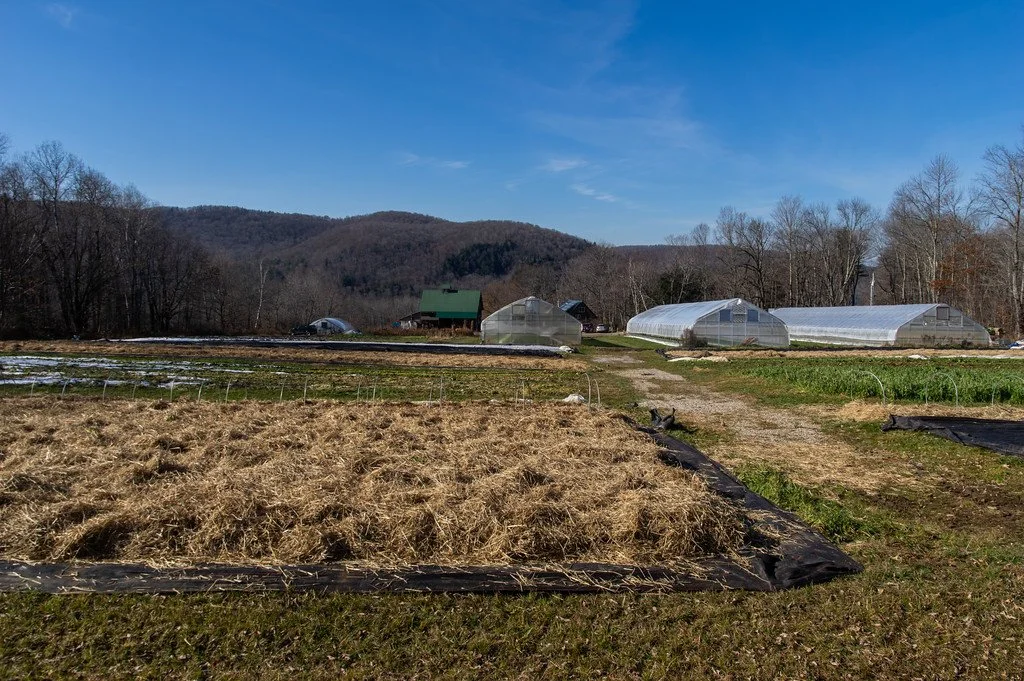 5th Week of the Fall CSA season: Week of November 22nd