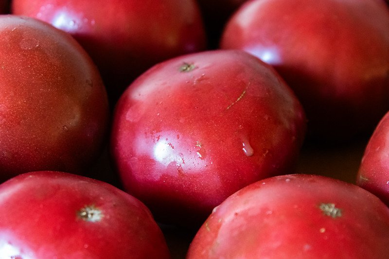 7th Week of the Summer CSA Season: Week of July 23rd