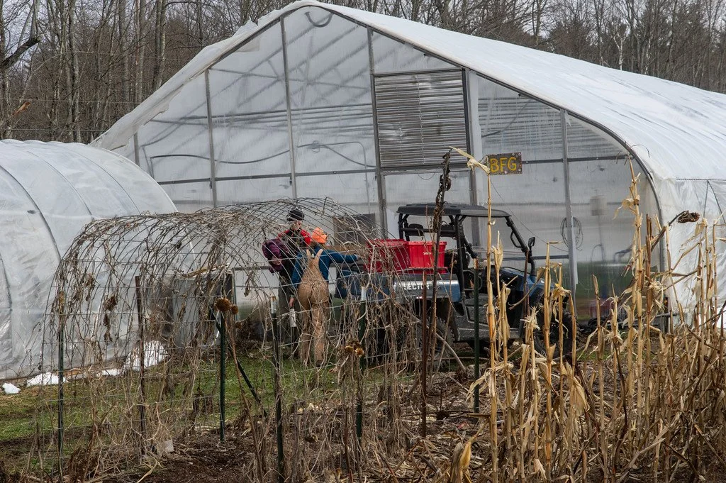 9th Week of the Fall CSA Season: Week of December 23rd