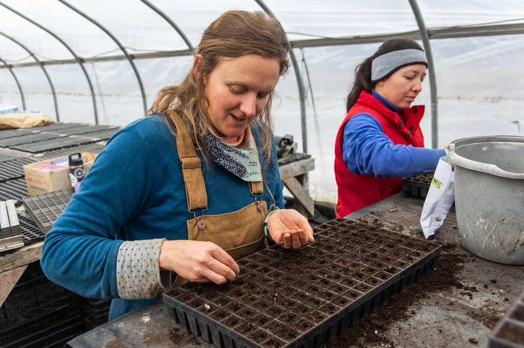 3rd Week of the Spring CSA Season: Week of March 18th