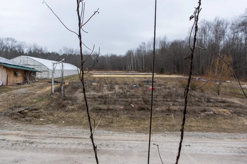 4th Week of the Spring CSA Season: Week of March 25th