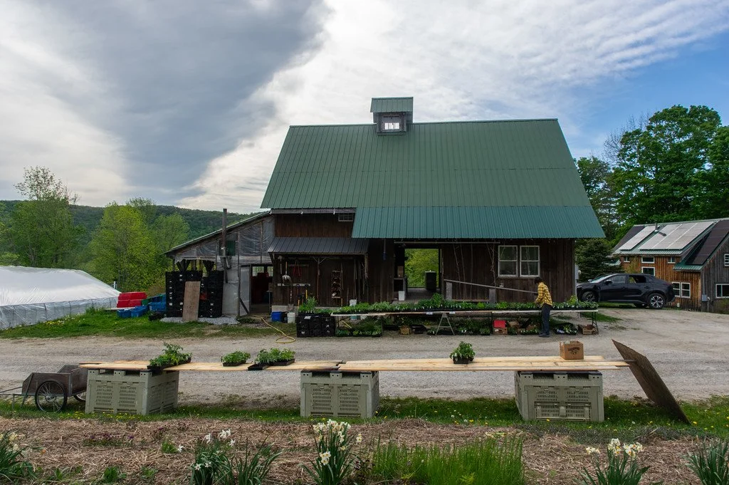 1st Week of the Summer CSA Season: Week of May 26th
