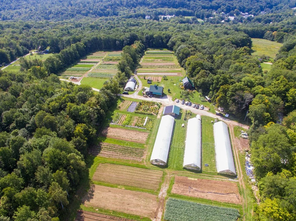 Evening Song Farm Certified Organic Vermont CSA