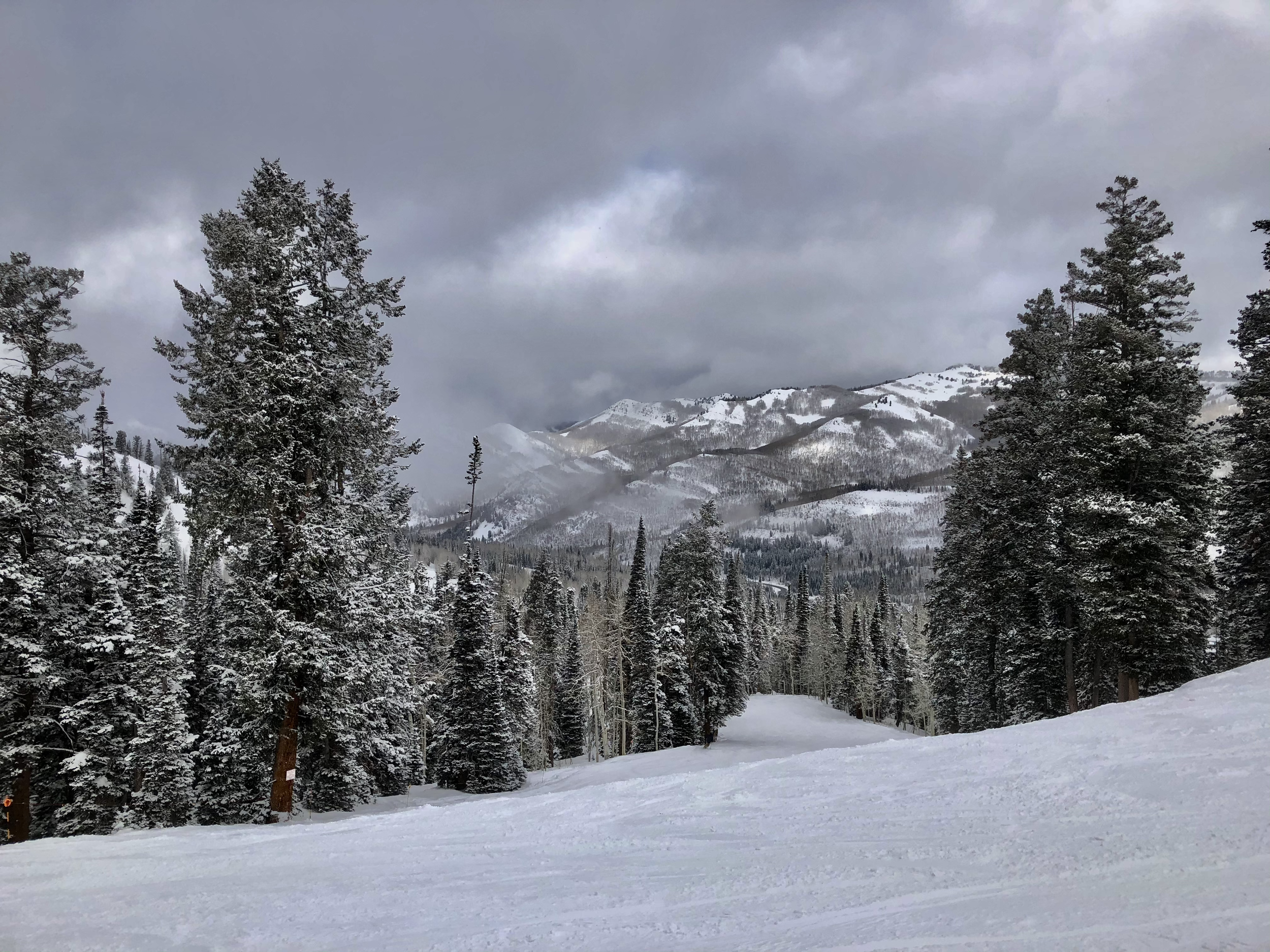 Watercolor painting and art prints of Solitude Mountain Ski Resort