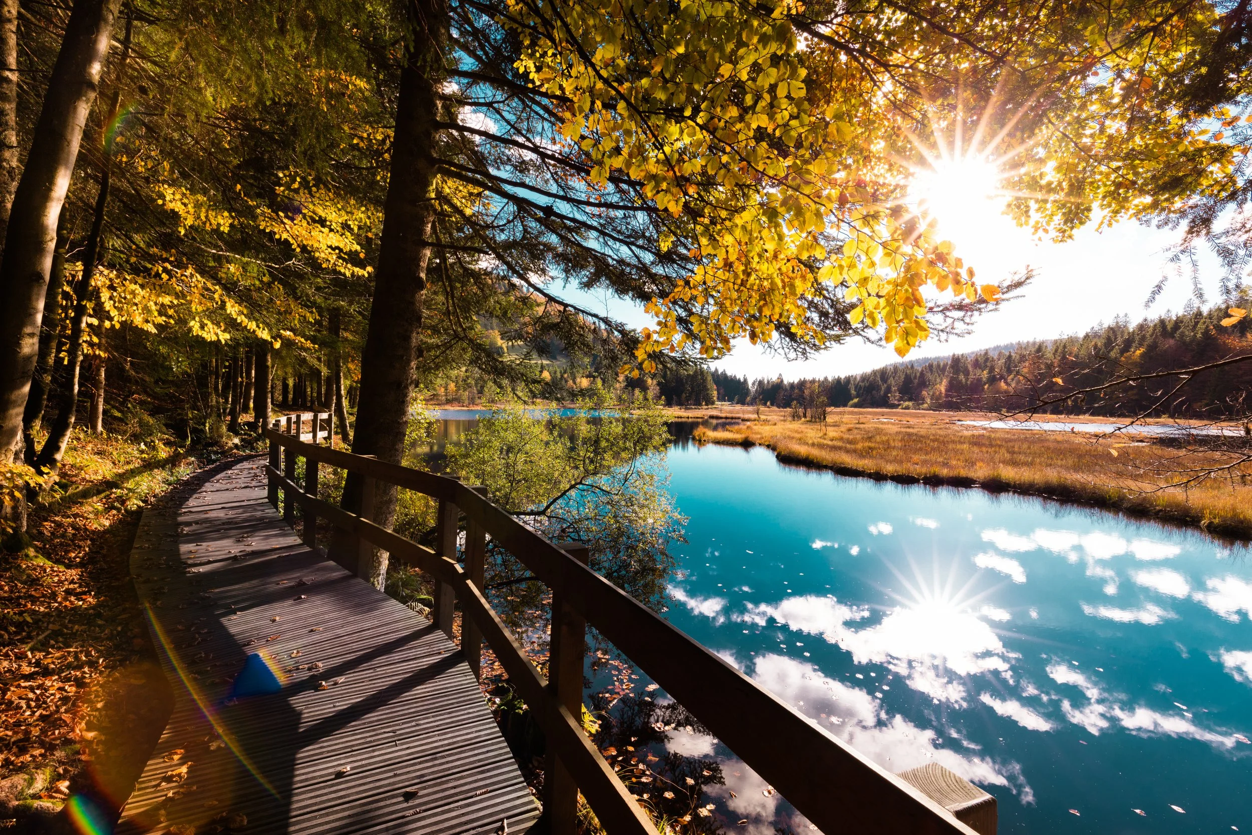 View of boardwalk from Vosges Region in France, where Wasaga Beach Yoga is hosting a Hiking & Yoga Retreat in May 2026