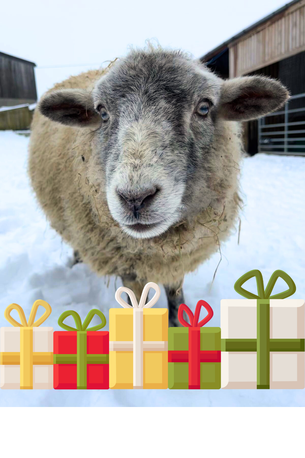 Gifts on a Budget: Meaningful Presents Under £10 &amp; £20