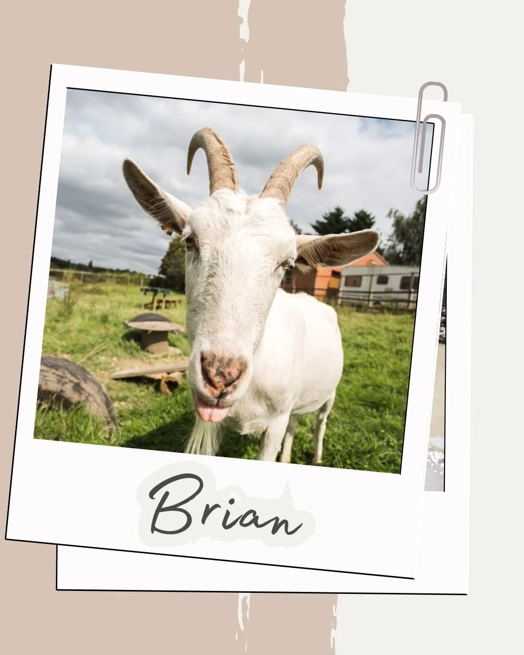 THIS ONE IS USED ON WEBSITE.jpg