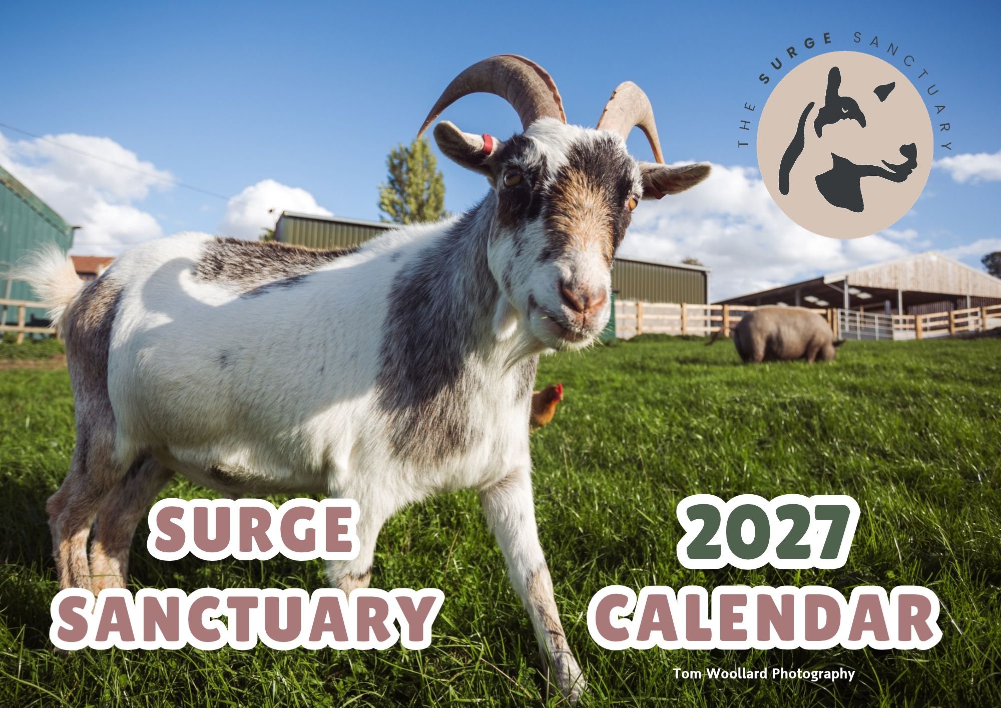 2027 calendar - in progress.jpg