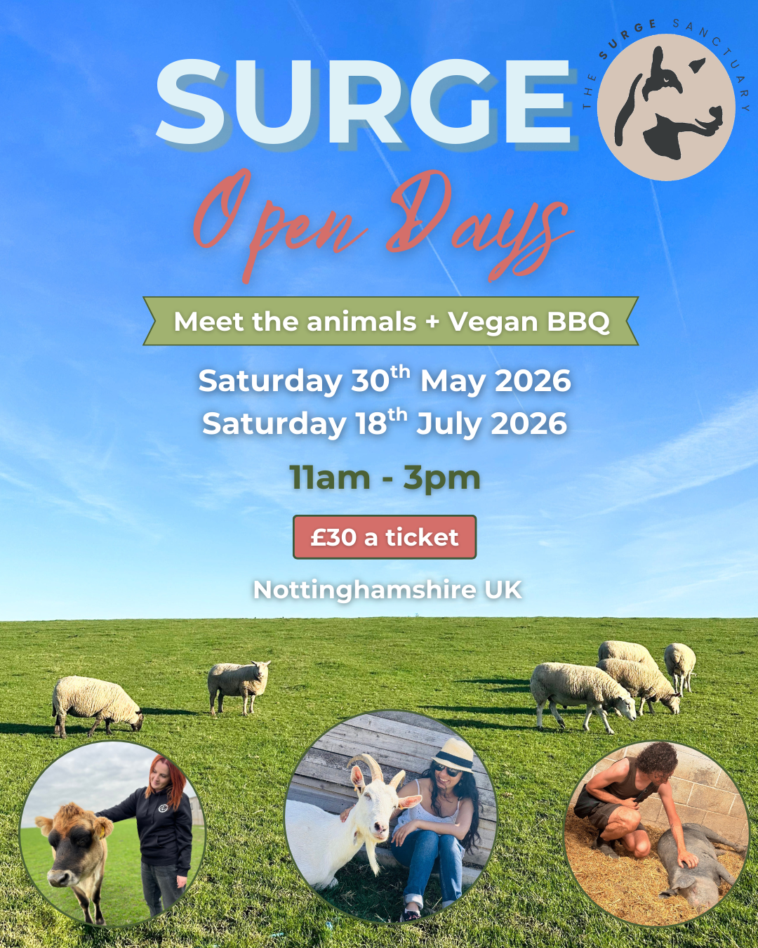 Spring at the sanctuary  (1080 x 1350 px).png