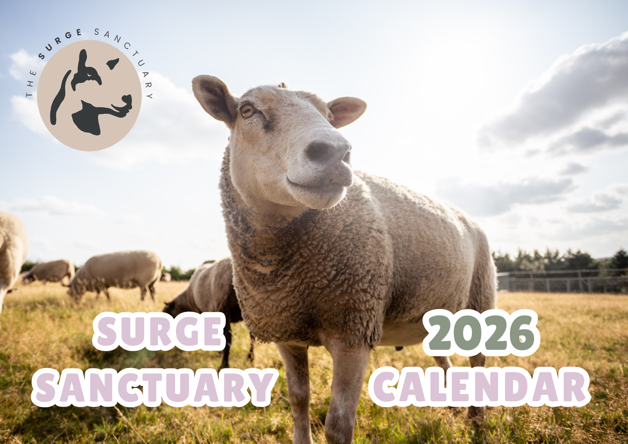 2026 Calendar - in progress.png