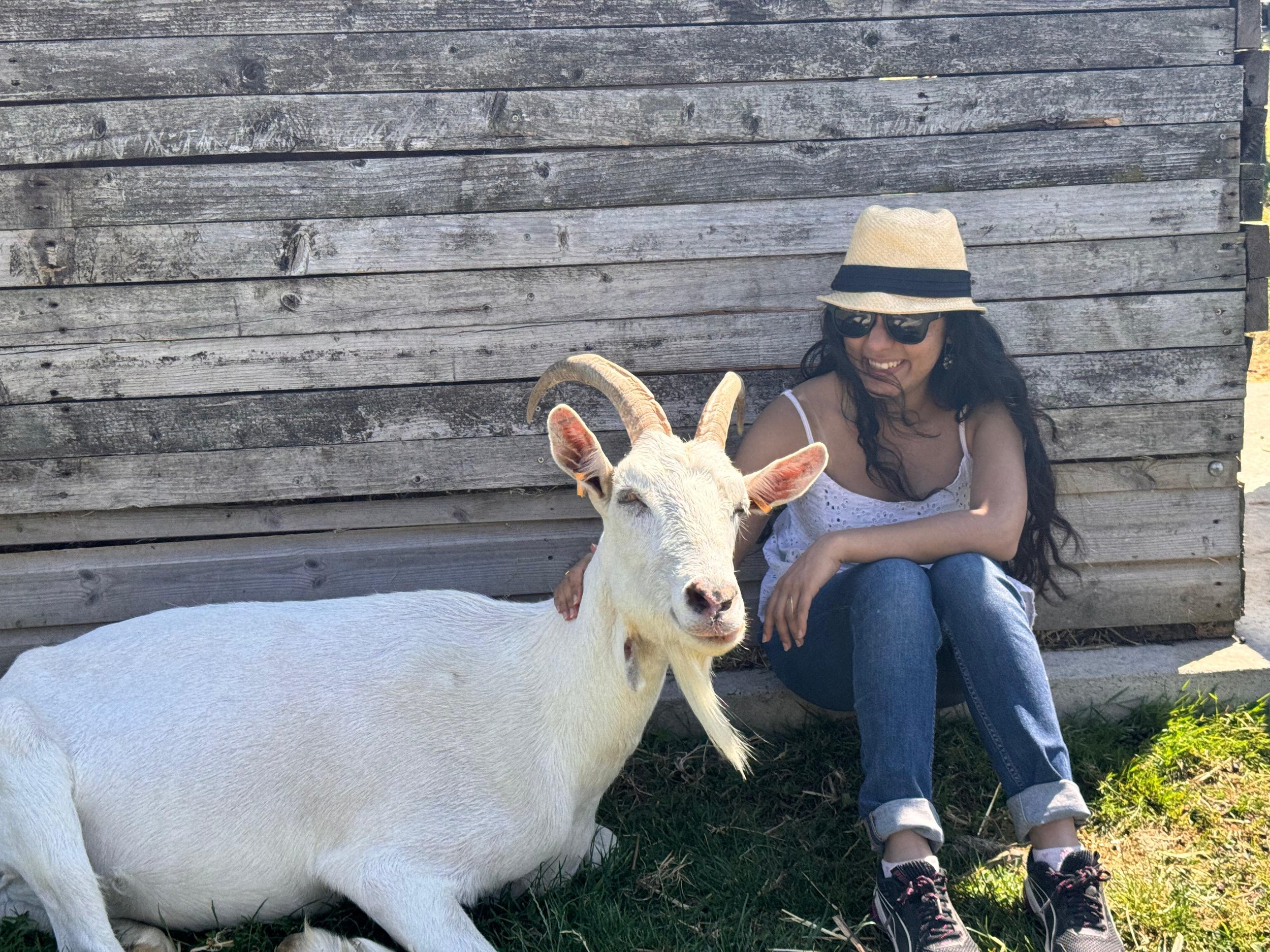 WhatsApp Image 2025-11-19 at 14.52.18.jpeg