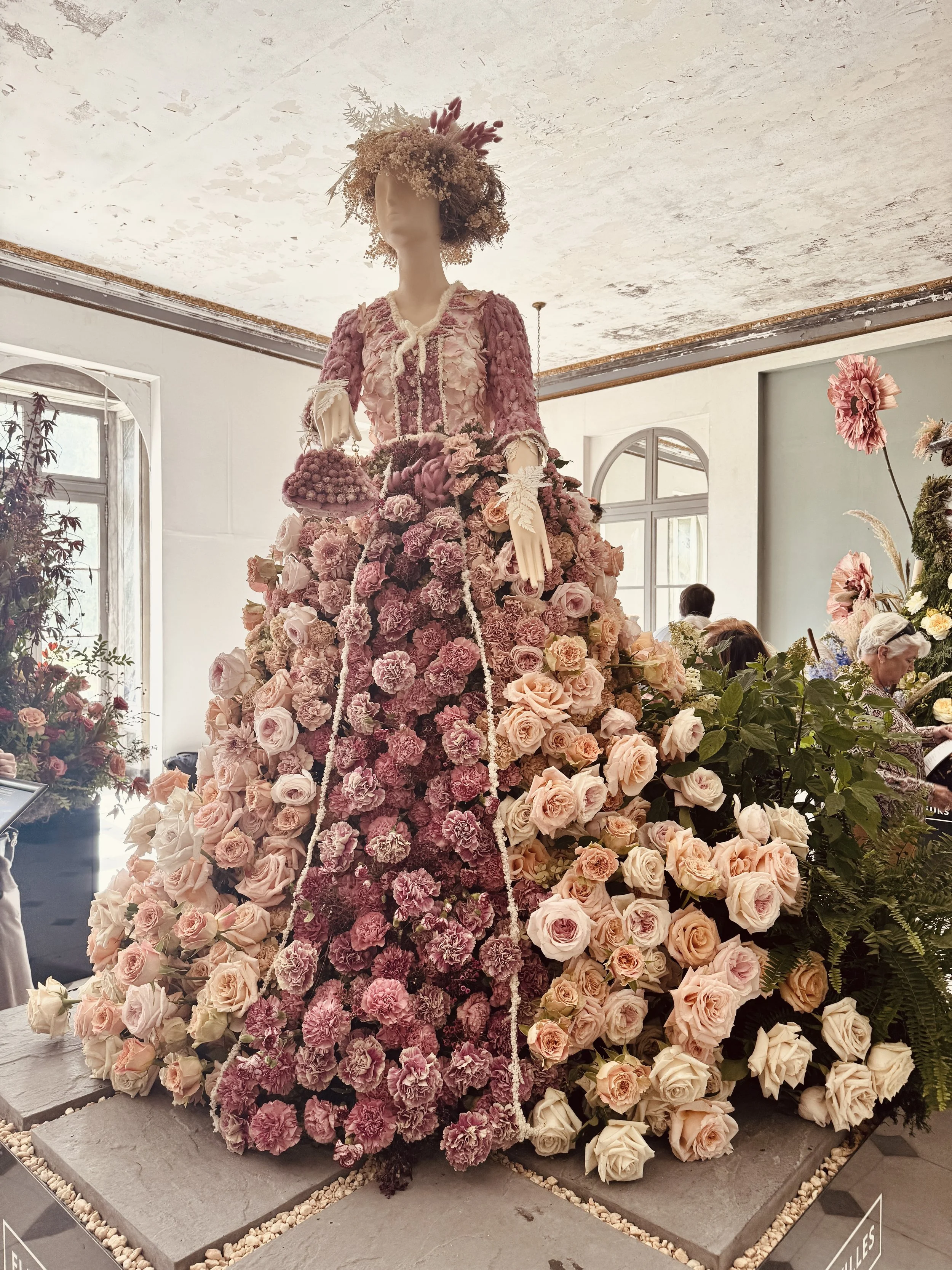 IMG_0166.jpg
