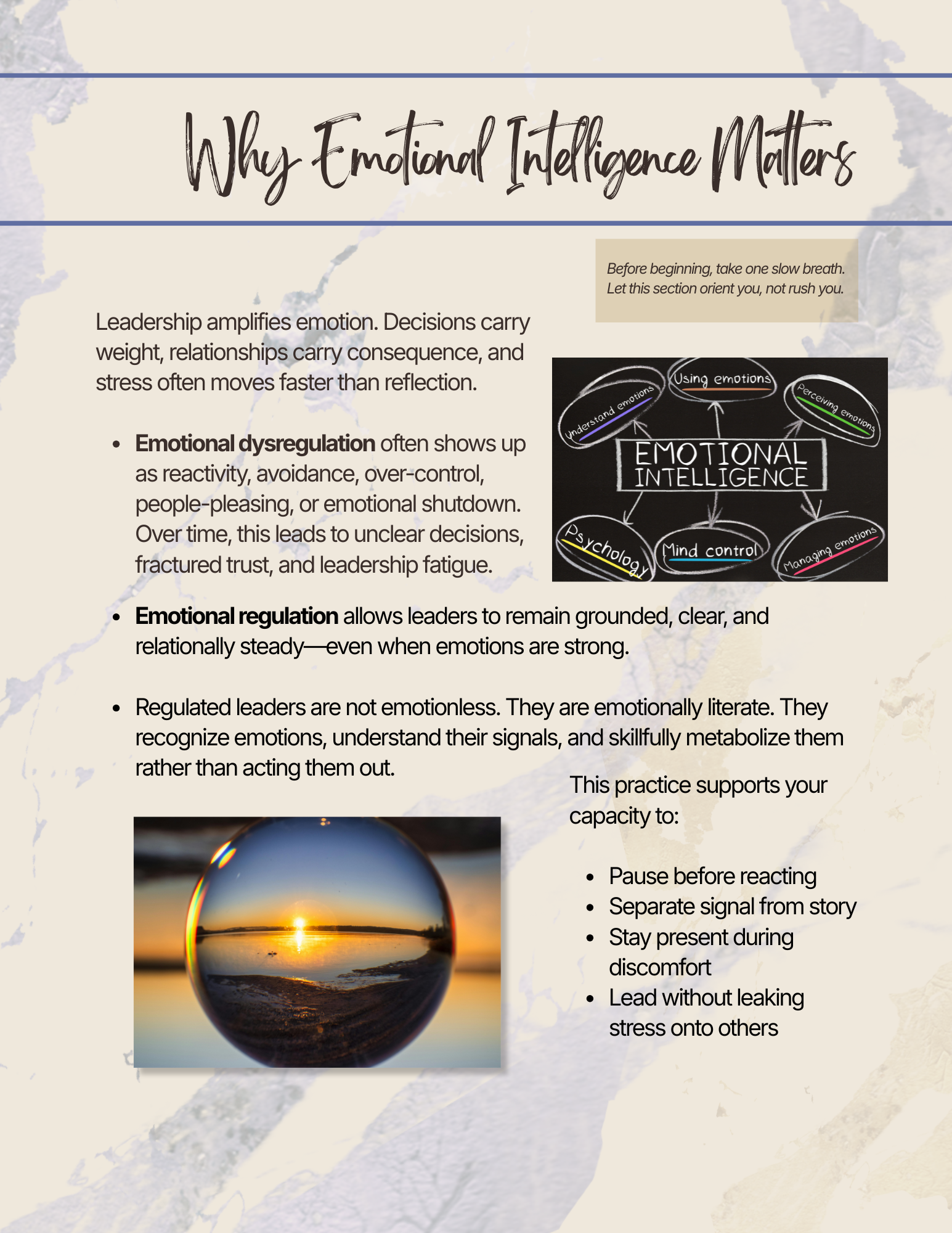 Emotional Regulation - ONLINE_122025.png