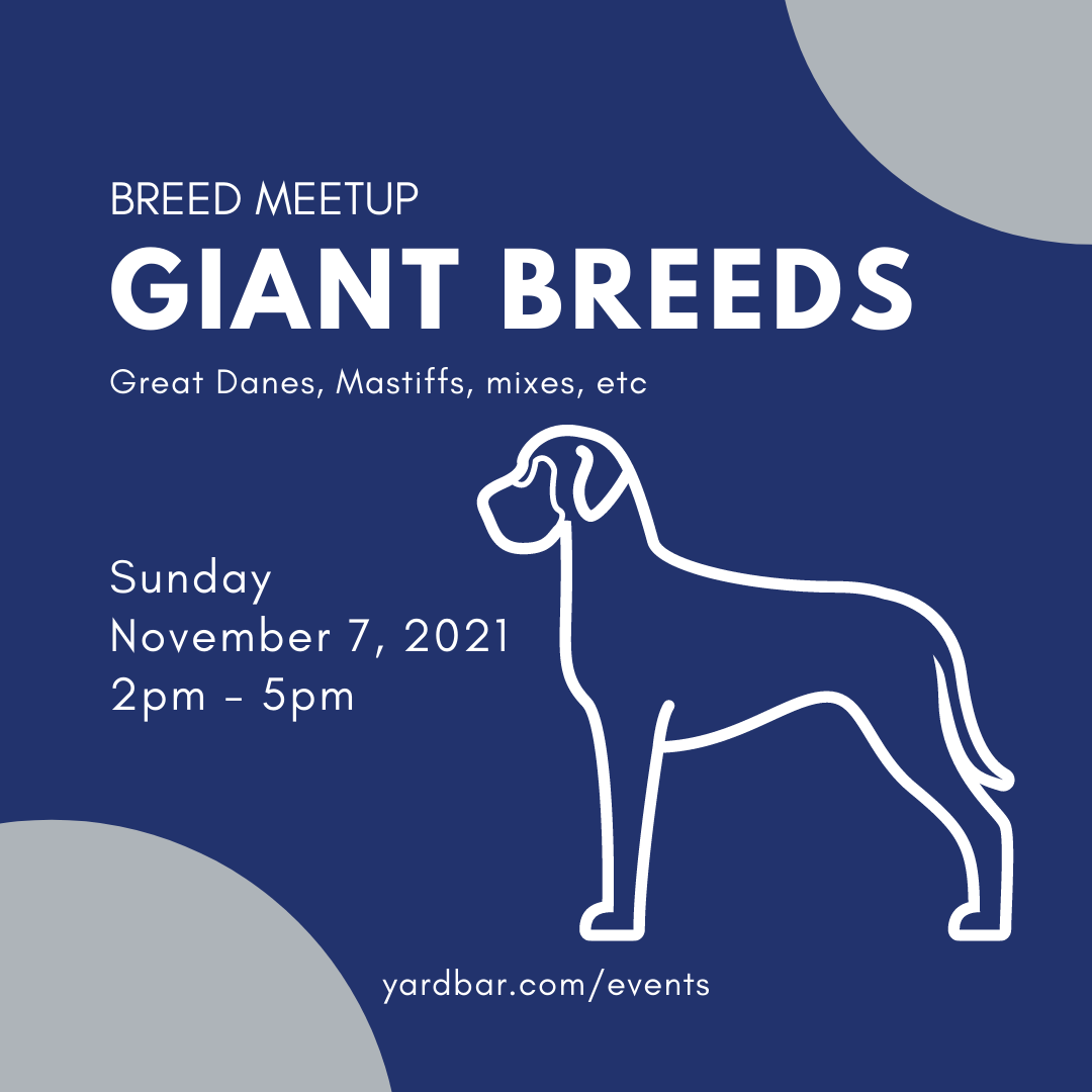 giant breeds