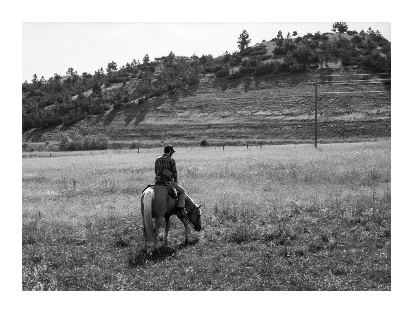 montana-12 copy.jpg