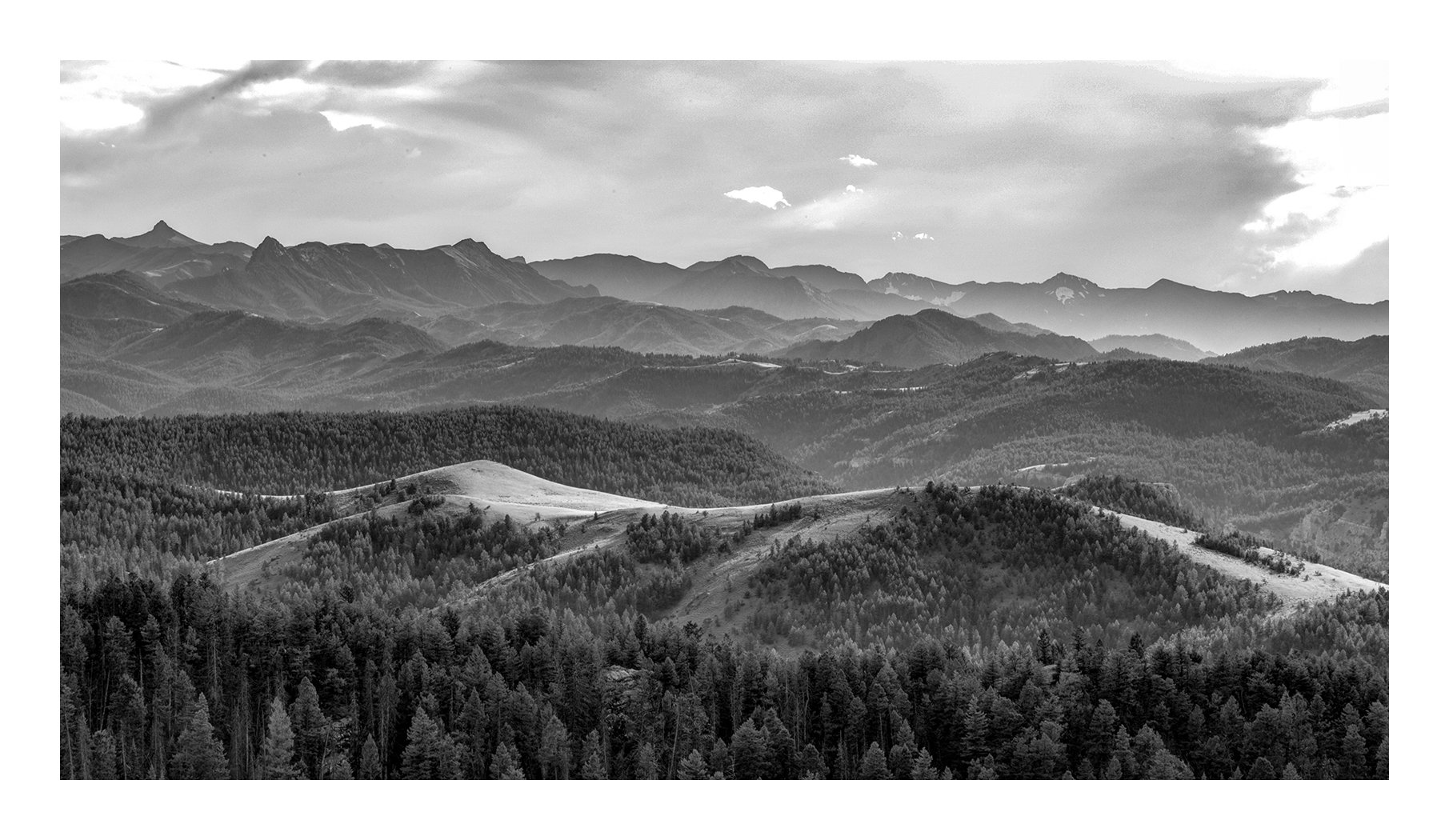 IMG_0215_6_7 copy.jpg