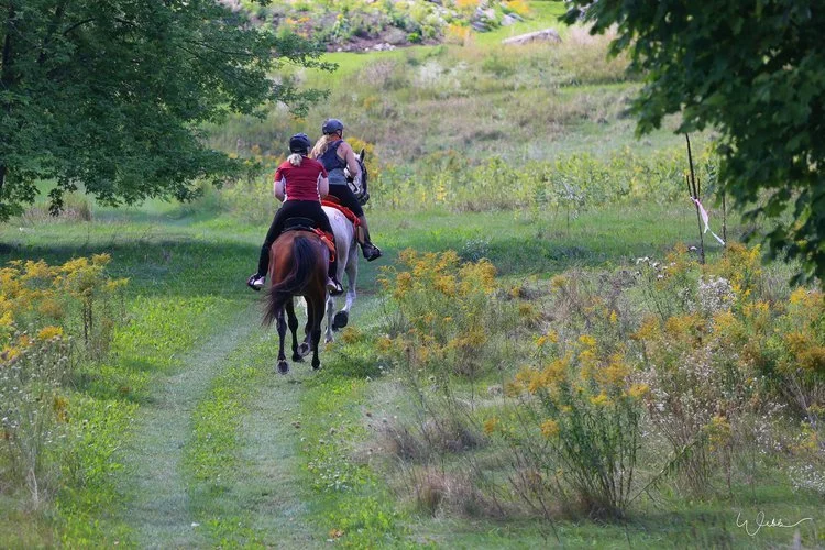 Are you training for an ultra endurance ride? | Ride Like An Athlete