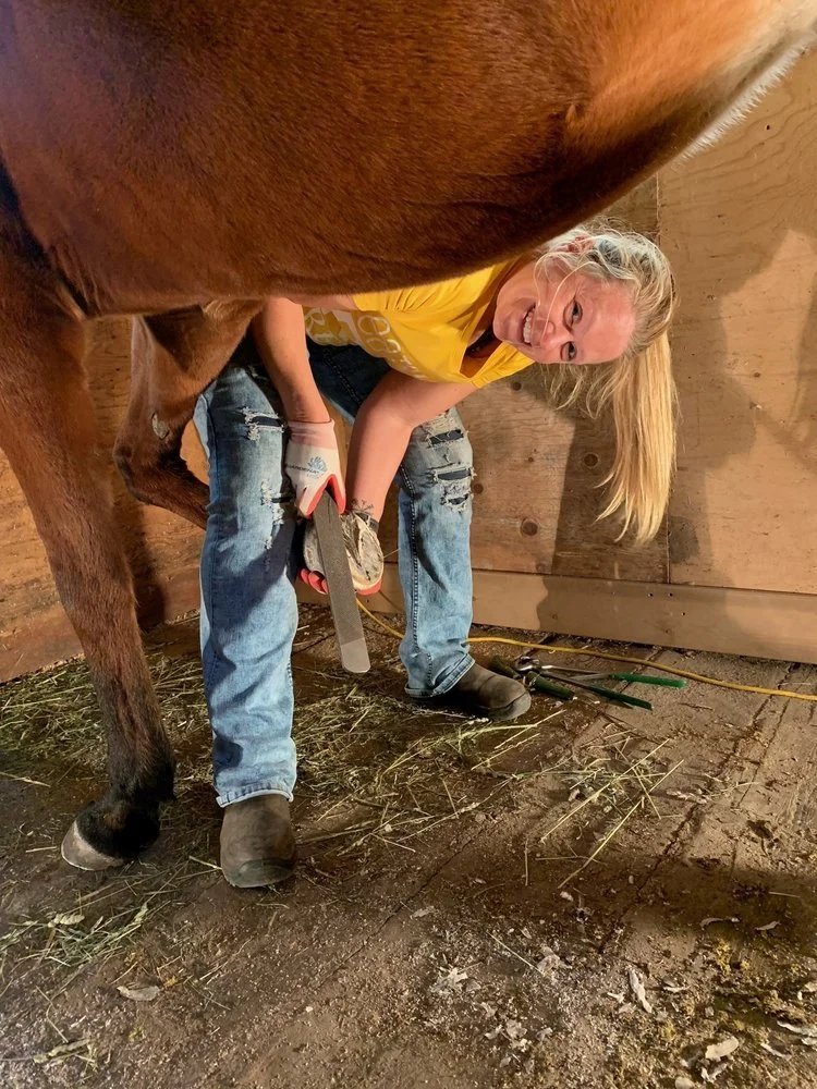 From Hoof Trimming Workshop to Fitness Insights