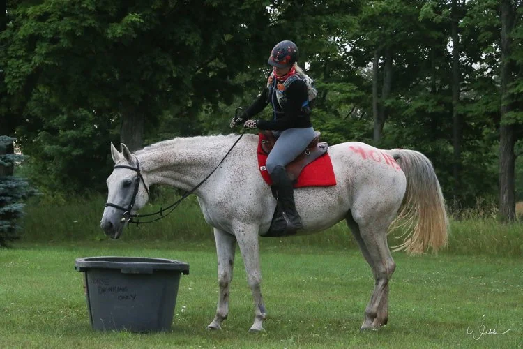 Fit Rider What FitRider Program is right for me? | Zero to 100 Farm
