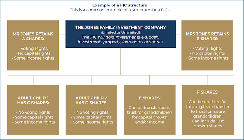 example of a Family Investment Company structure