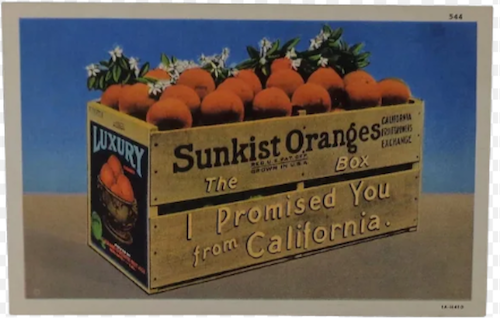 Sunkist Oranges: the box I promised from California